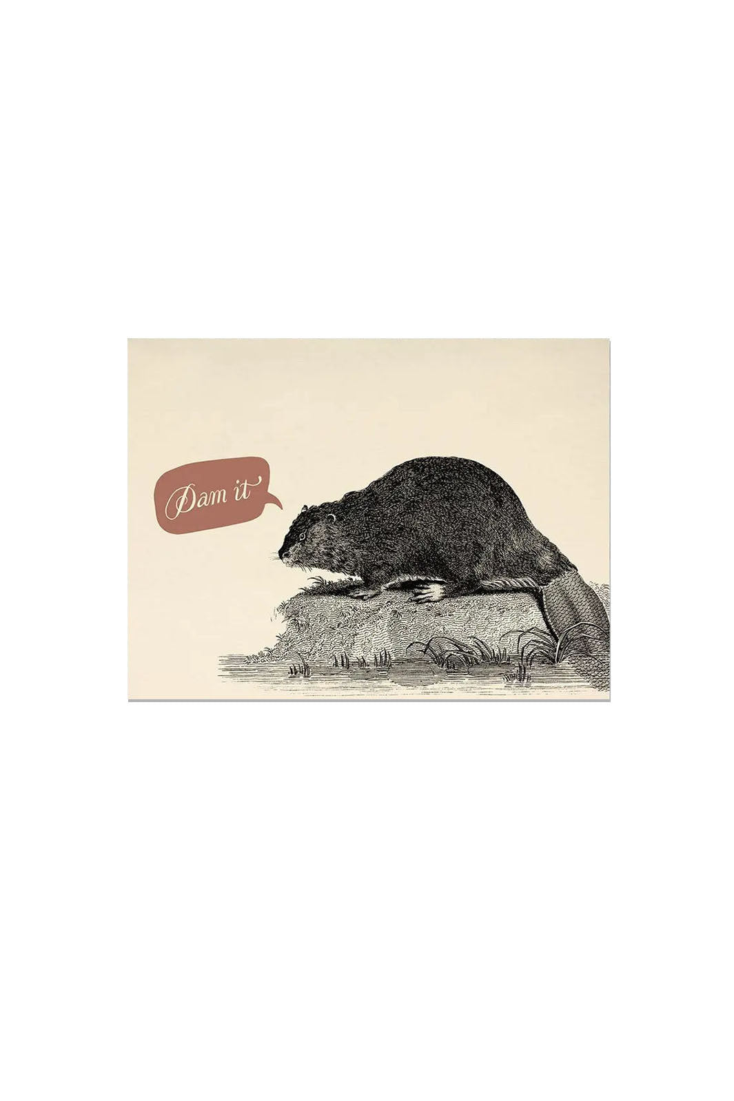 Beaver Dam Card