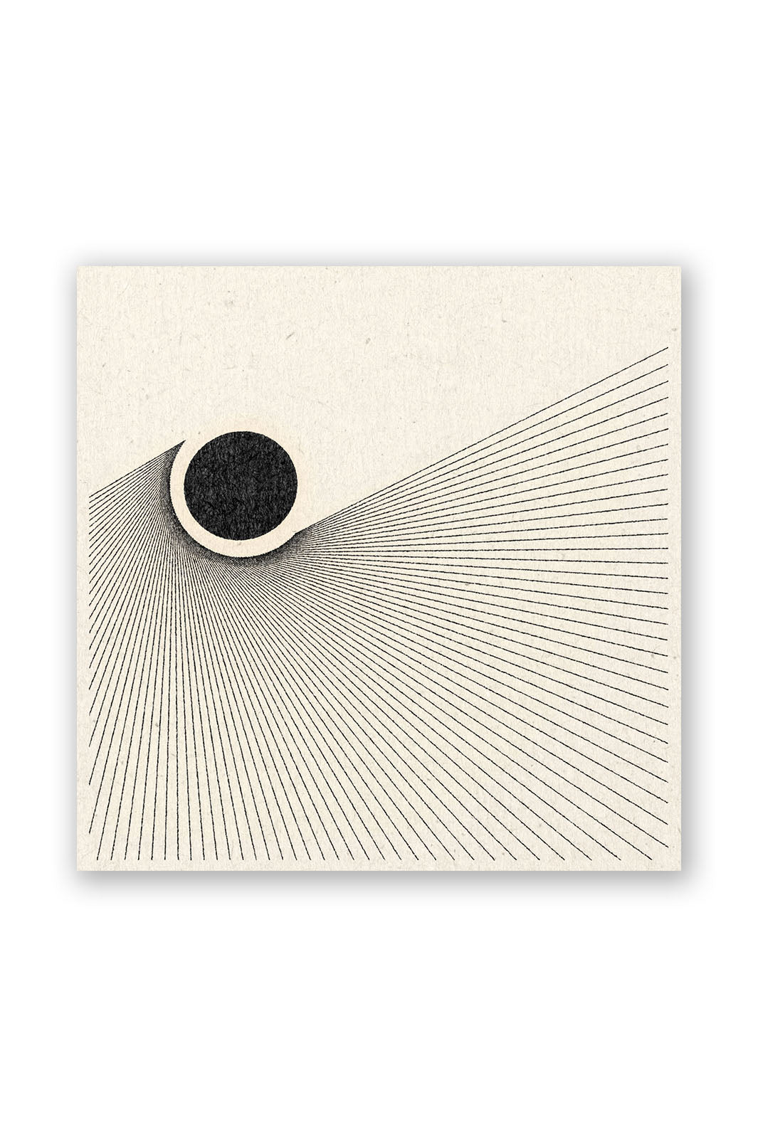 Coming Into Focus Art Print