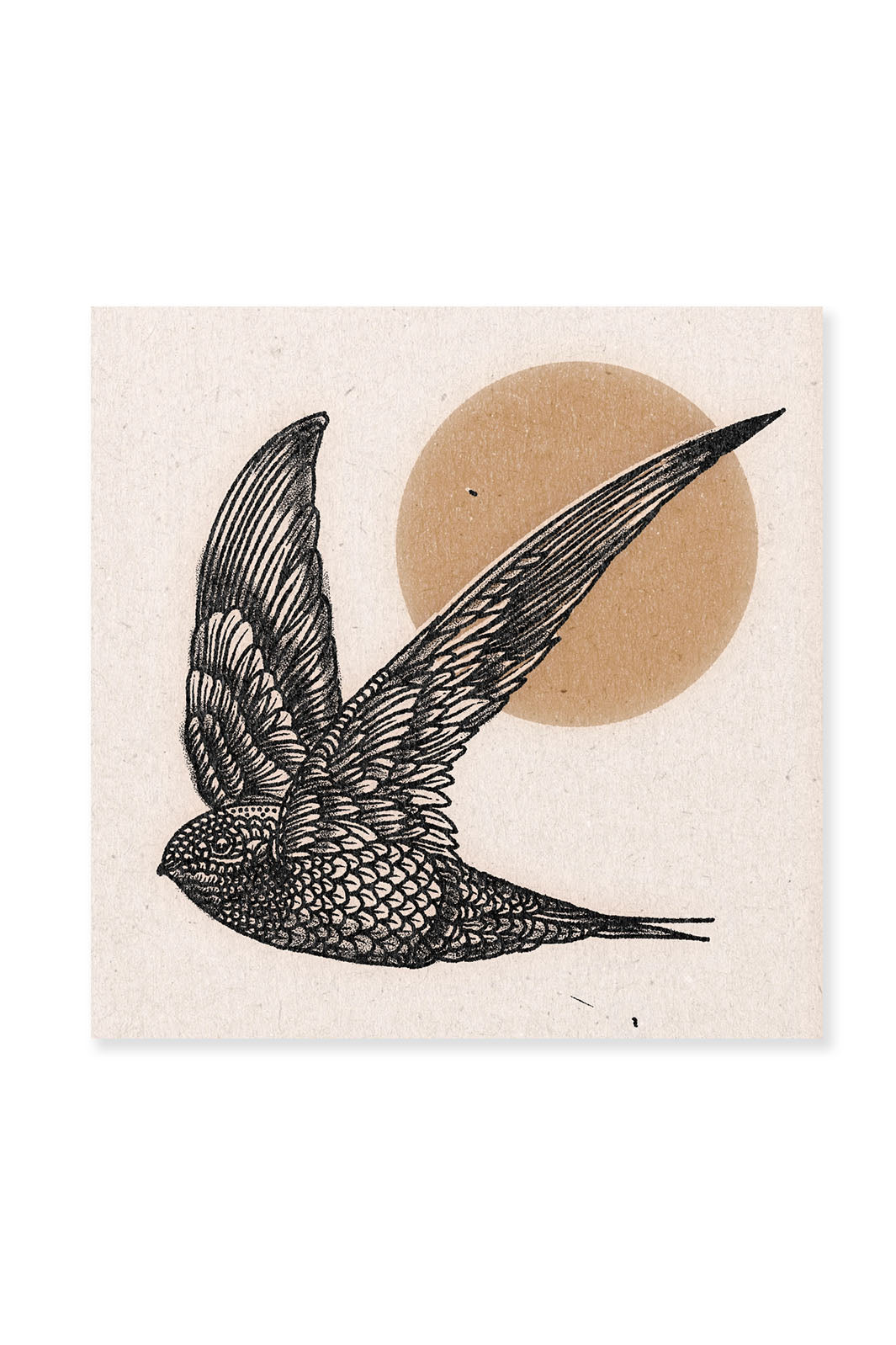 Midflight Art Print