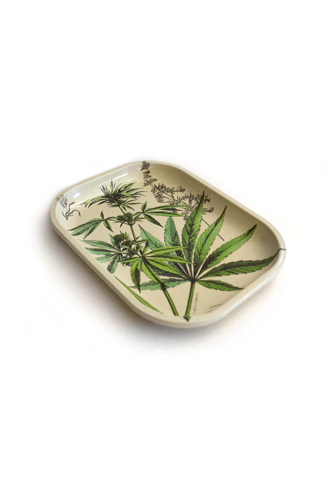 Small Metal Tray - Vintage Cannabis and Botanical Print
