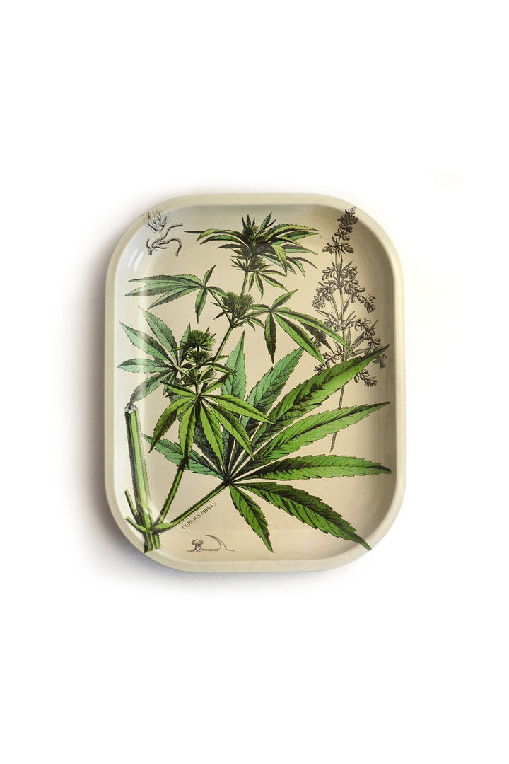 Small Metal Tray - Vintage Cannabis and Botanical Print