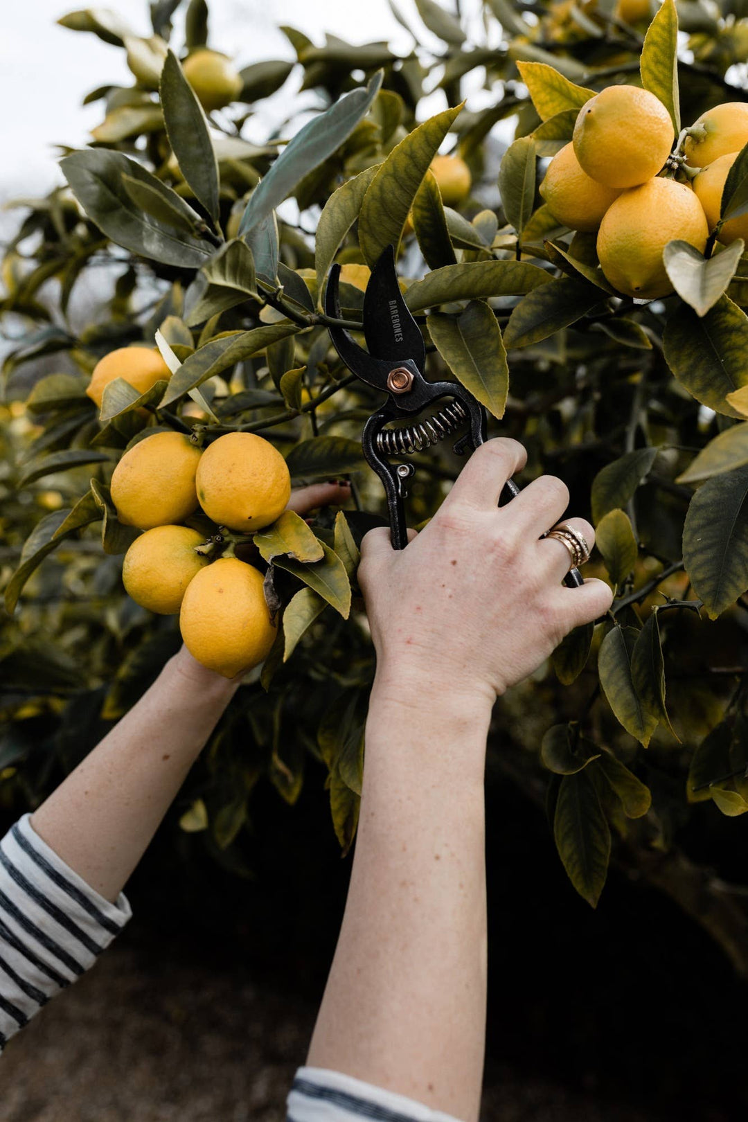 Garden Pruner with Sheath