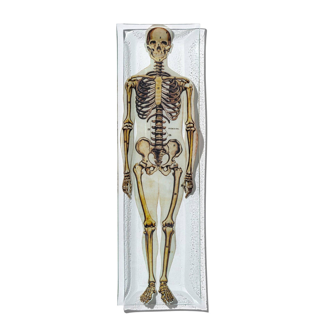 Skeleton Printed Glass Tray