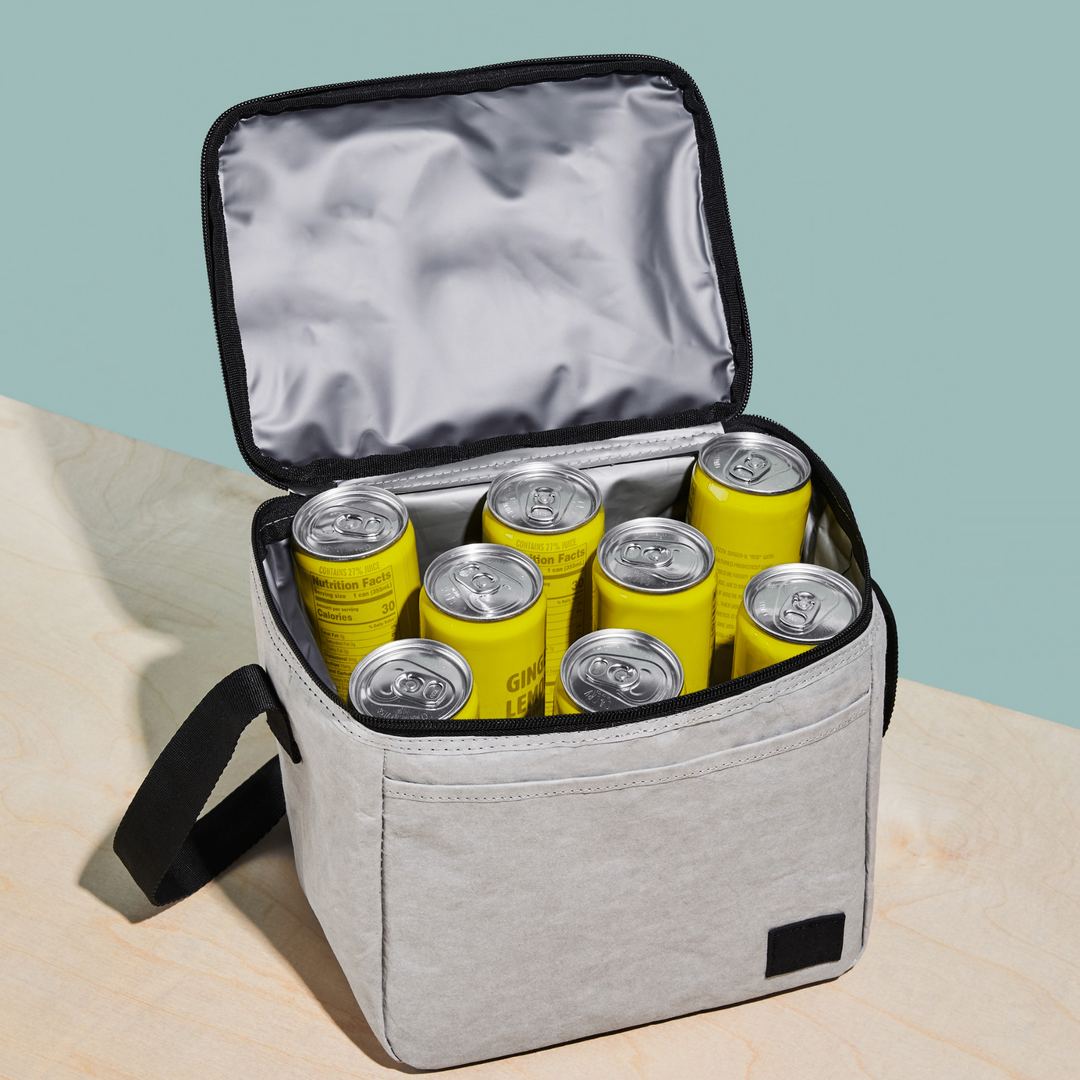 Dolphin Lunch Cooler
