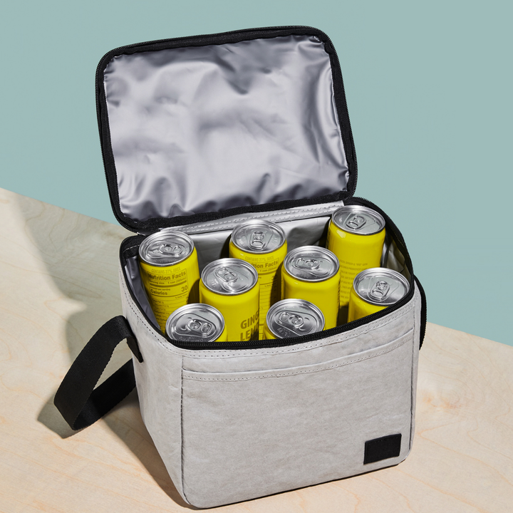 Dolphin Lunch Cooler