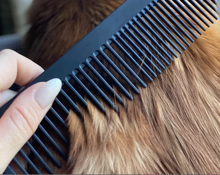 The Pet Comb