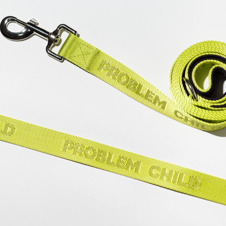 Dog Leash | Problem Child