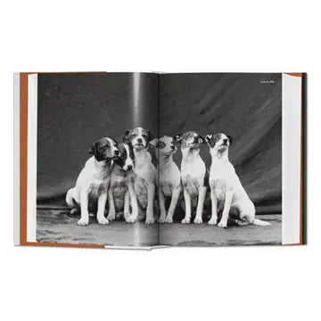 The Dog in Photography 1839-Today