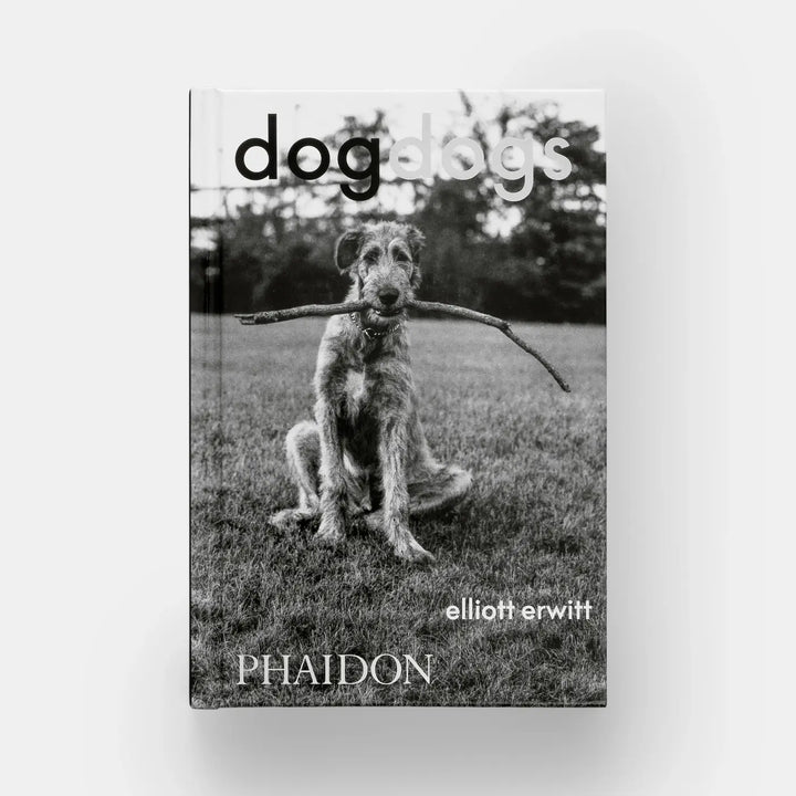 DogDogs
