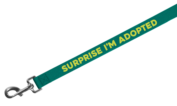 Dog Leash | Surprise Adopted
