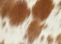 Curved Cowhide Hairon Leather Tray