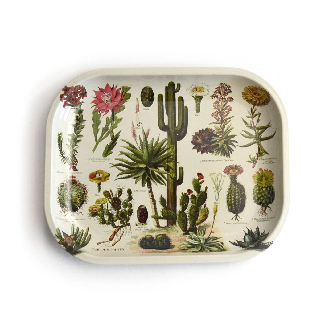Small Metal Cactus Catchall Tray / Vintage Cacti Dish