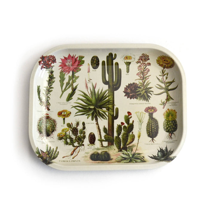 Small Metal Cactus Catchall Tray / Vintage Cacti Dish