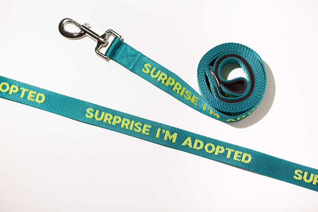 Dog Leash | Surprise Adopted