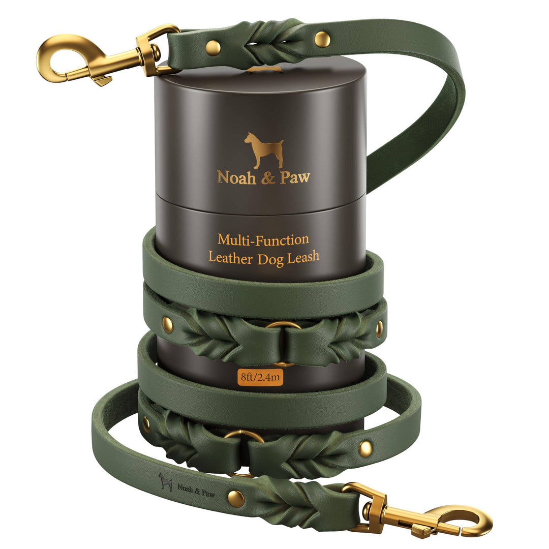 Premium Oil-Waxed Braided Leather Leash | Dark Green