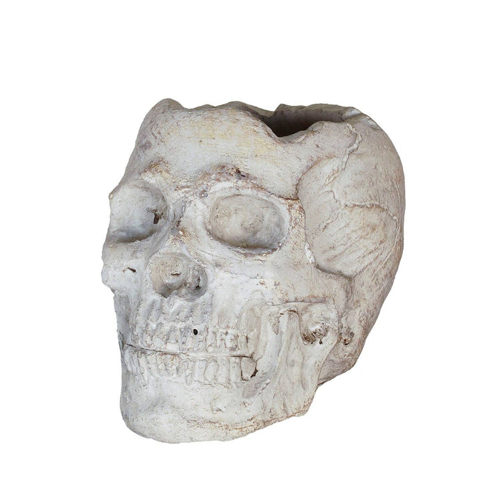 Concrete Momento Mori Skull Planter