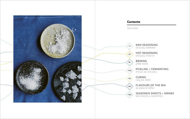 Sea Salt: A Perfectly Seasoned Cookbook