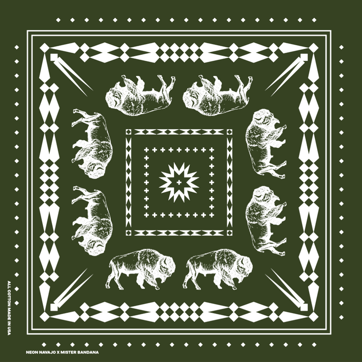 Great Plains Buffalo
