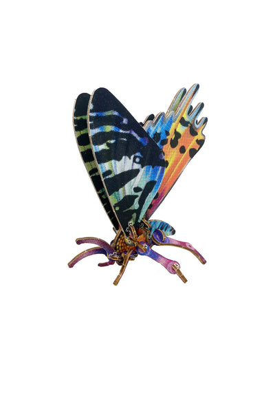 DIY Wood Model Kit - Moth