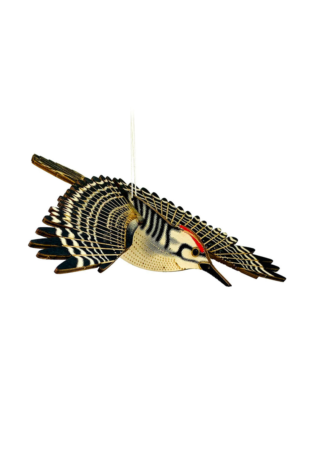 DIY Wood Model Kit - Woodpecker