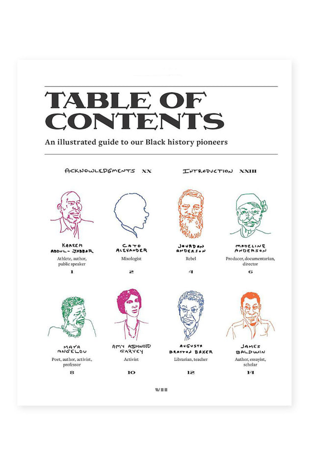 Illustrated Black History Book Inside Preview