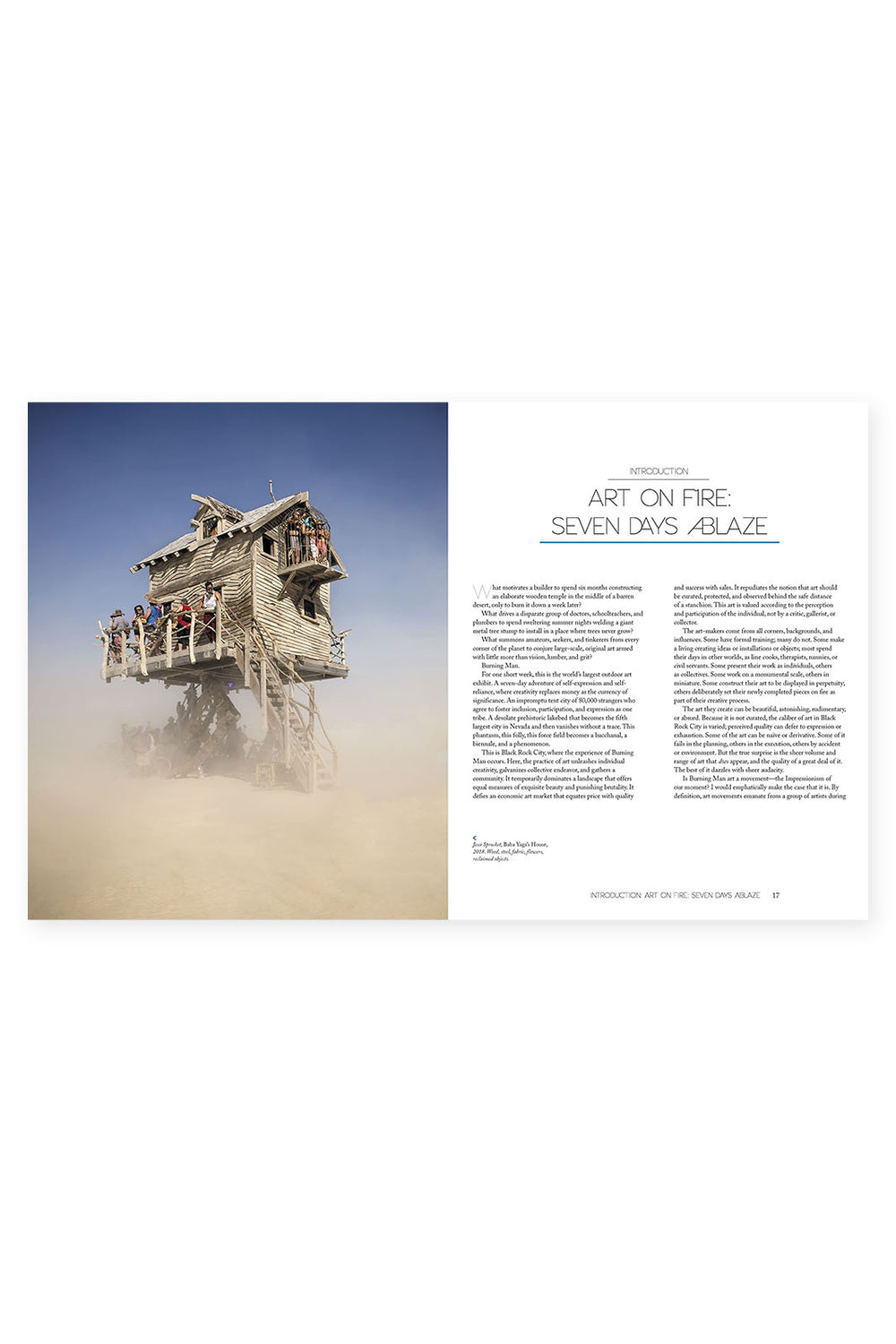 Burning Man Art on Fire Inside Preview