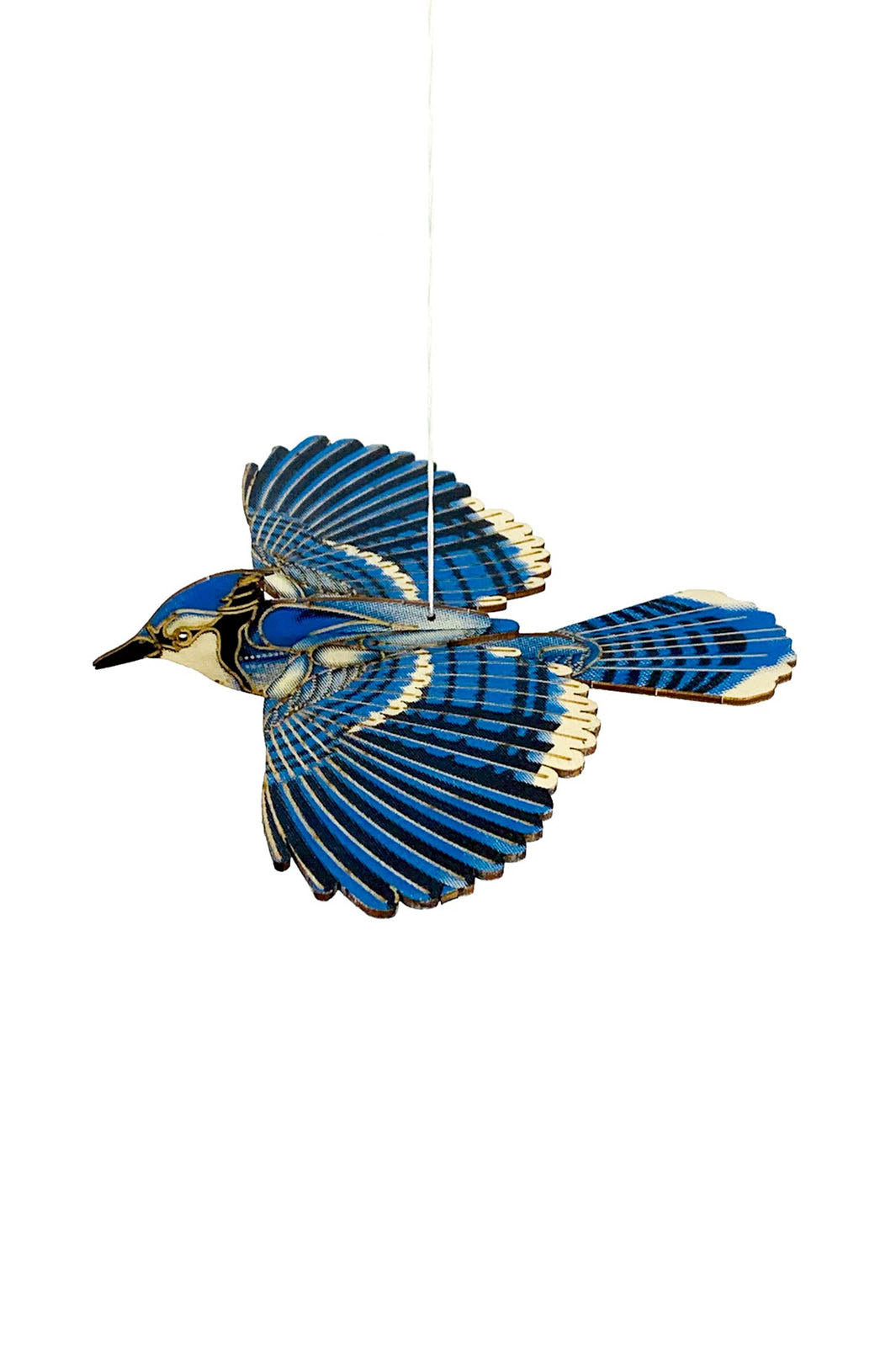 DIY Wood Model Kit - Blue Jay