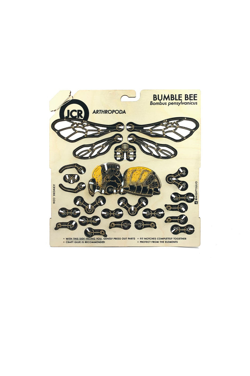 DIY Wood Model Kit - Bumblebee