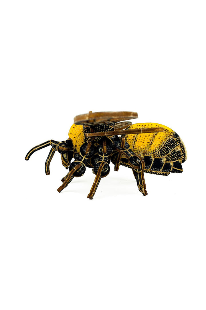 DIY Wood Model Kit - Bumblebee