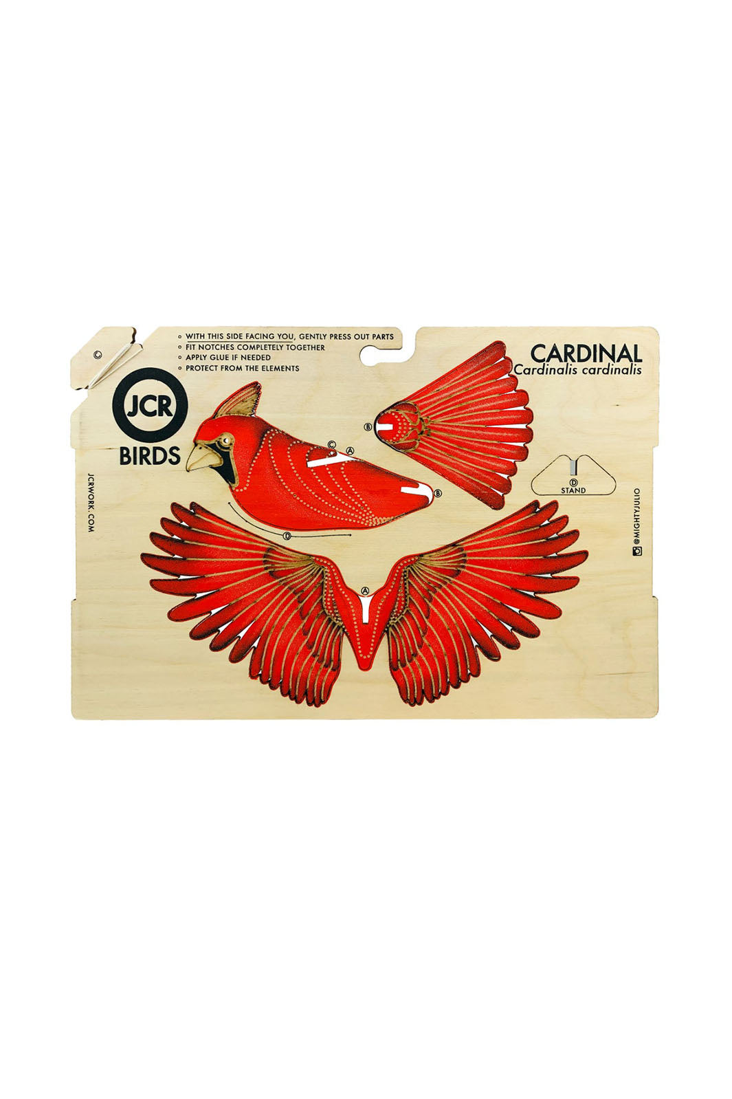 DIY Wood Model Kit - Cardinal