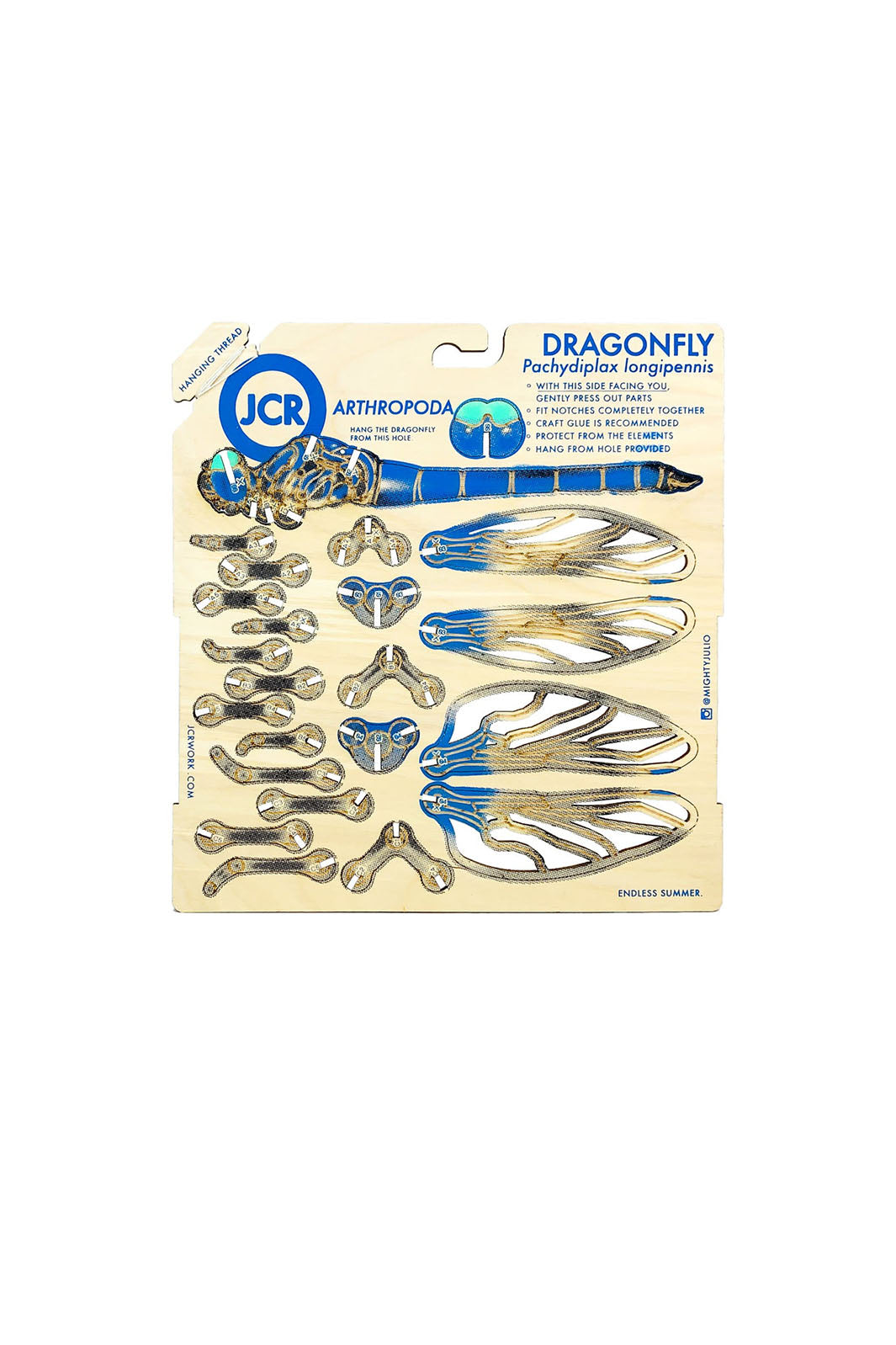 DIY Wood Model Kit - Dragonfly