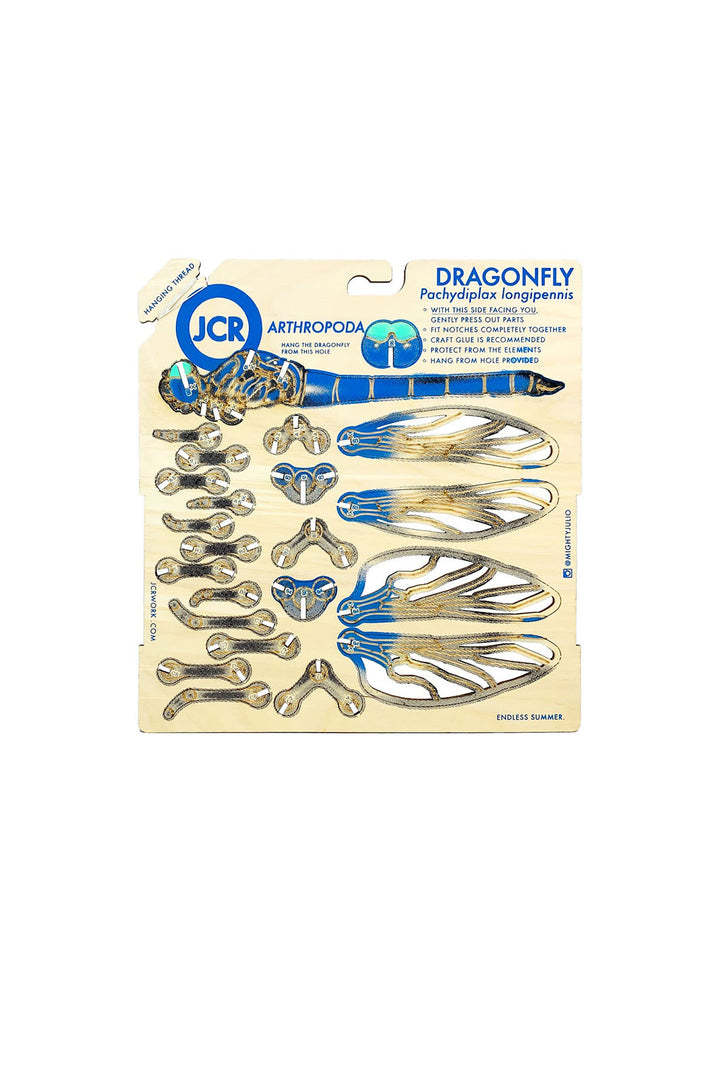 DIY Wood Model Kit - Dragonfly