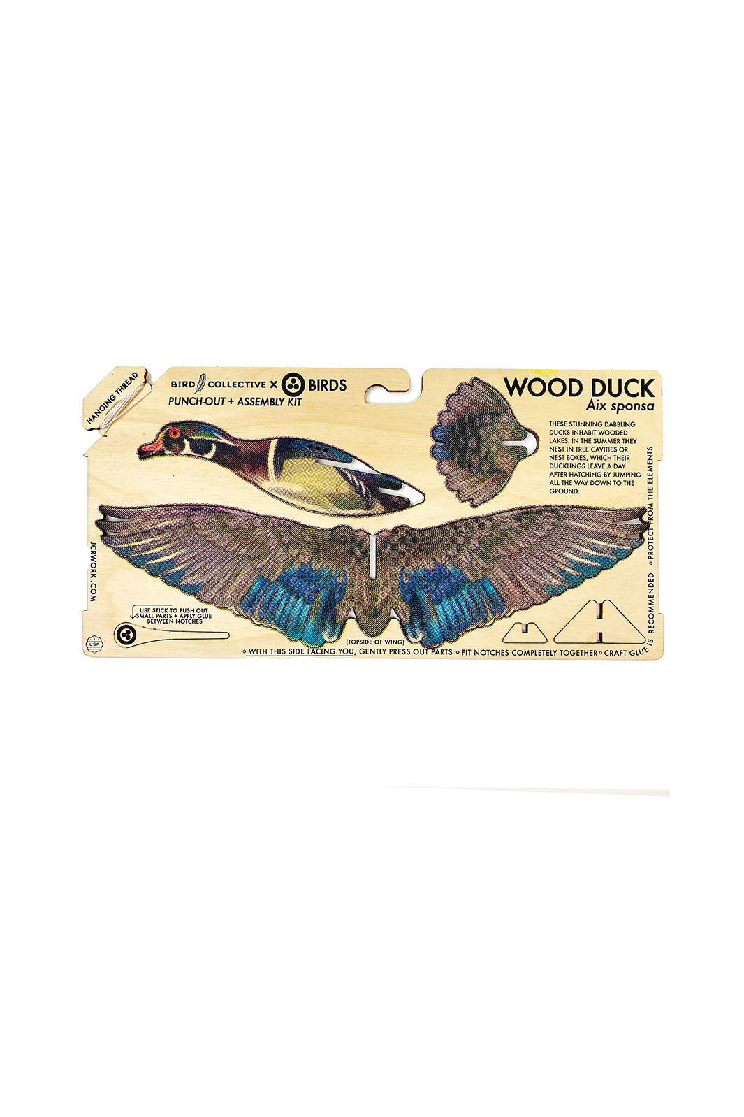 DIY Wood Model Kit - Wood Duck