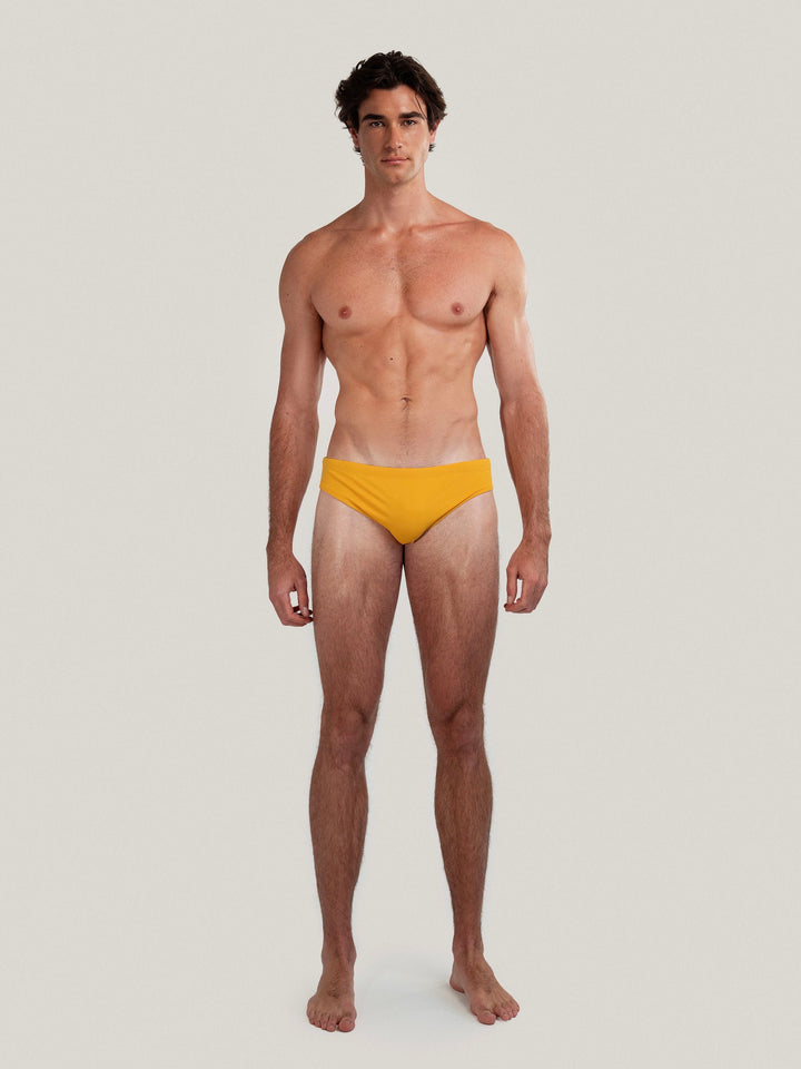 Dune Brief | Amber