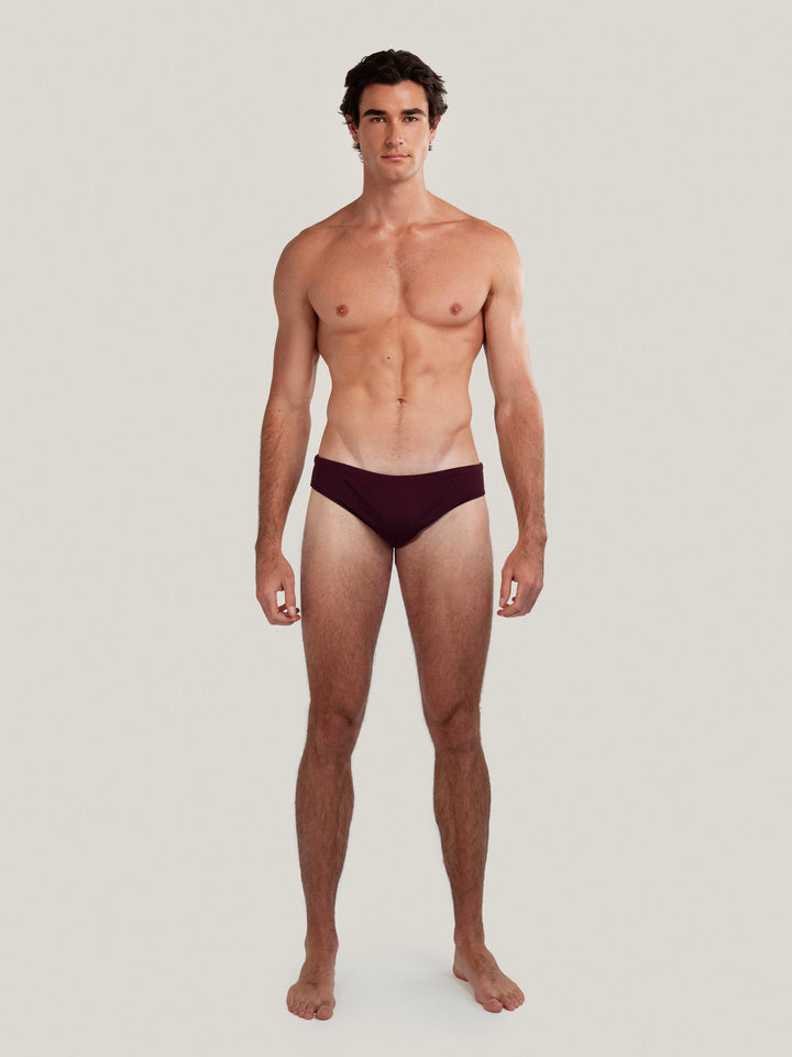 Dune Brief | Plum