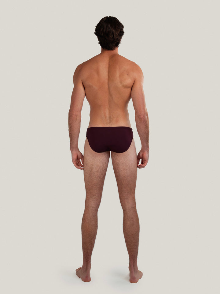 Dune Brief | Plum