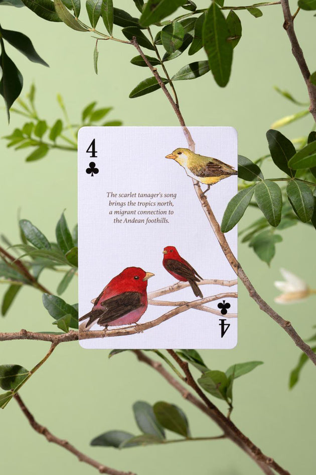 Eastern Forests Playing Cards