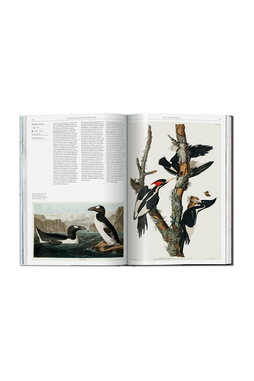 Science Illustration. A History of Visual Knowledge from the 15th Century to Today