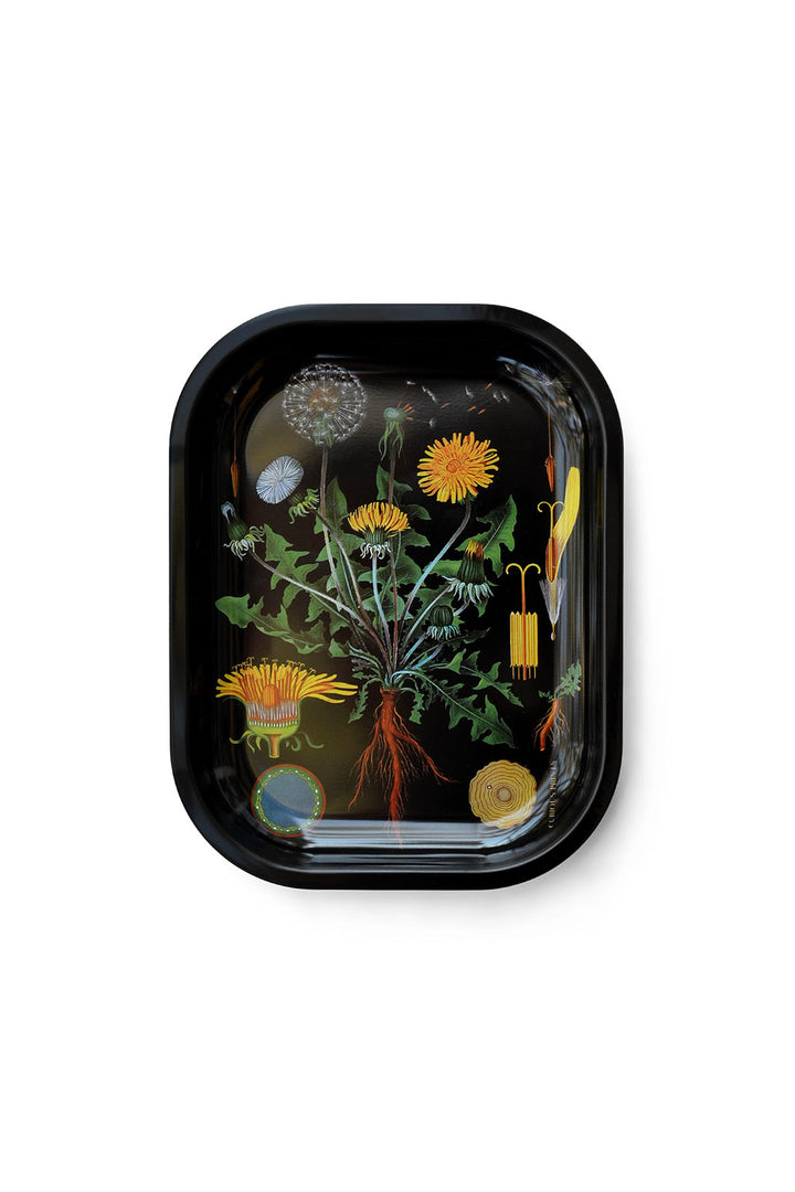 Small Metal Tray - Black Botanical Dandelion Print