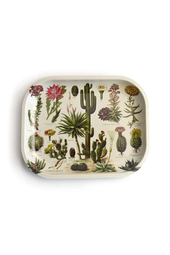 Small Metal Tray - Vintage Cacti Print