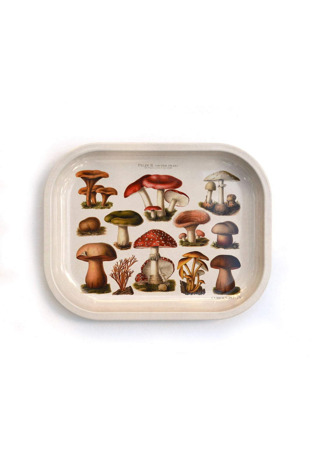 Small Metal Tray - Vintage Fungi Print
