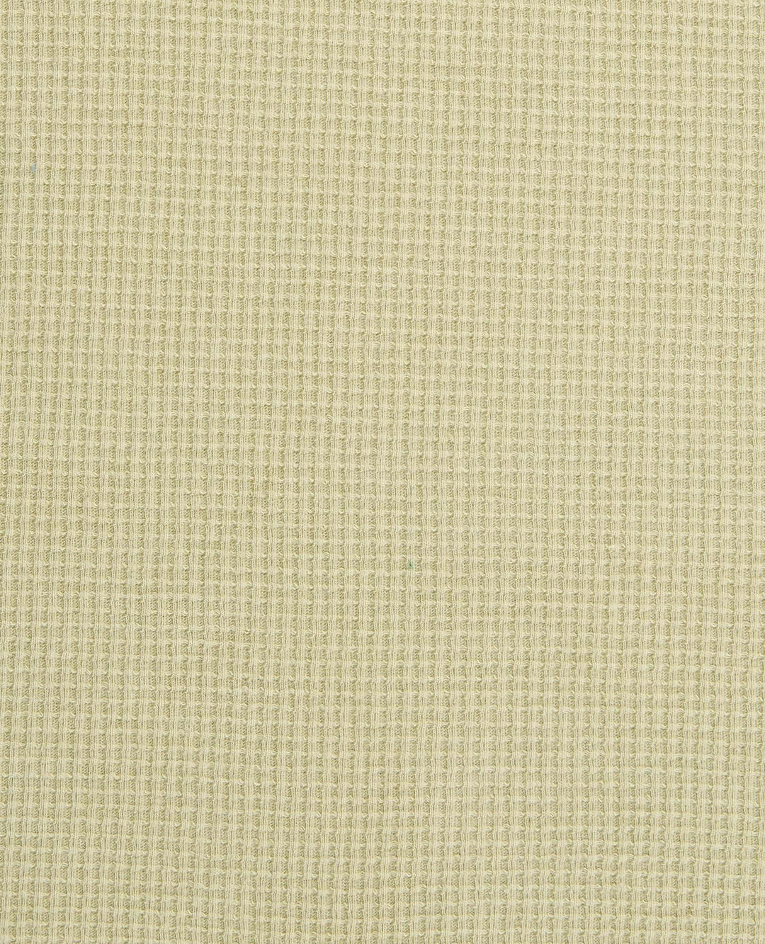 Framer II LS Crew | Yucca