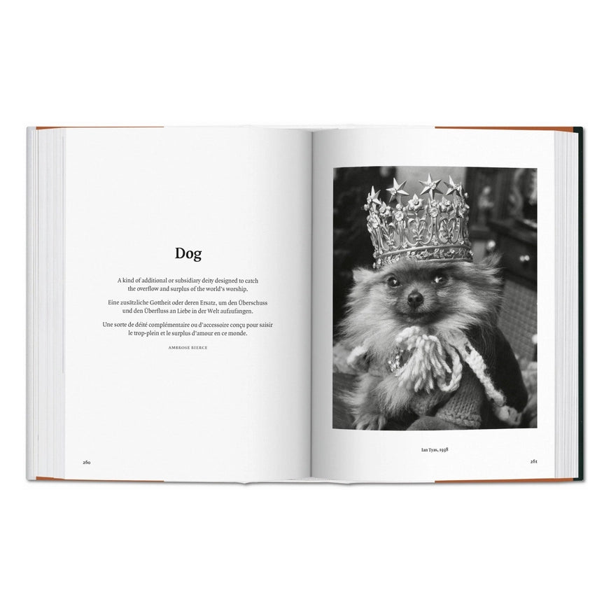 The Dog in Photography 1839-Today
