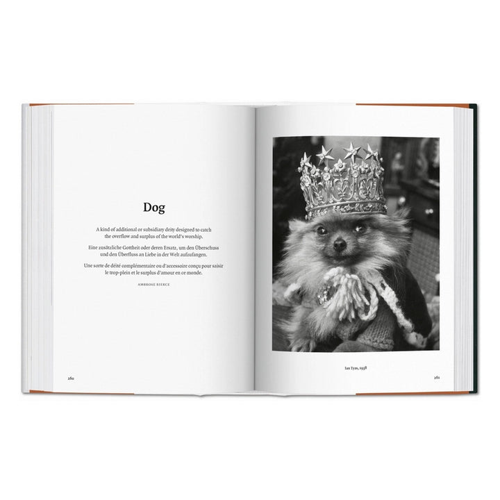 The Dog in Photography 1839-Today