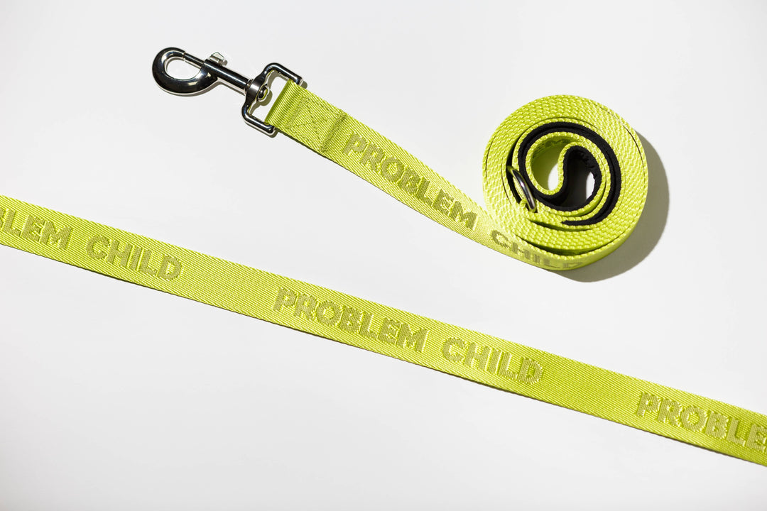 Dog Leash | Problem Child