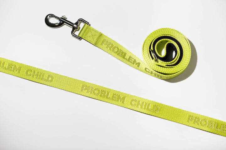 Dog Leash | Problem Child