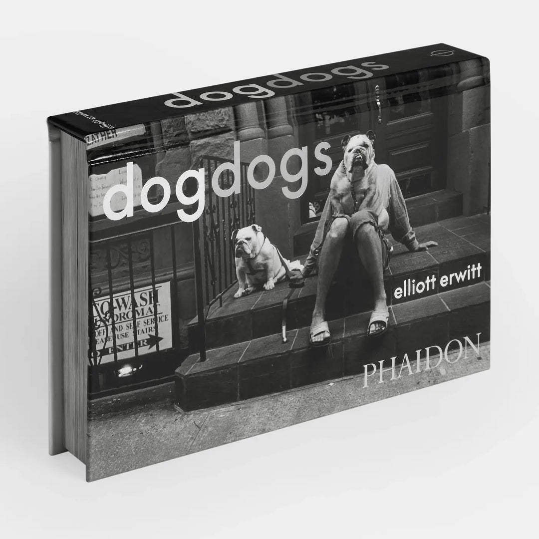 DogDogs