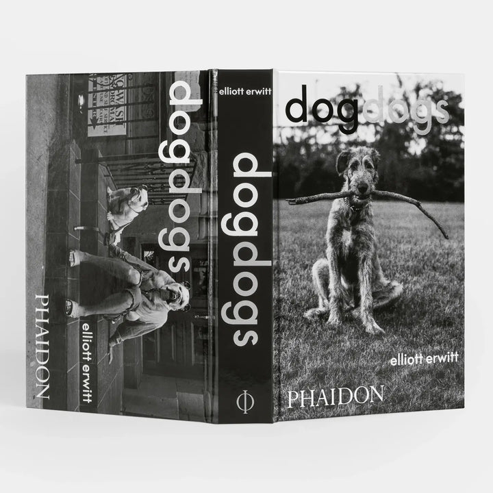 DogDogs