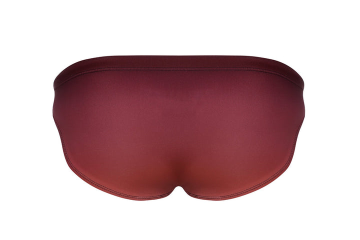 Full Swim Brief | Bronze