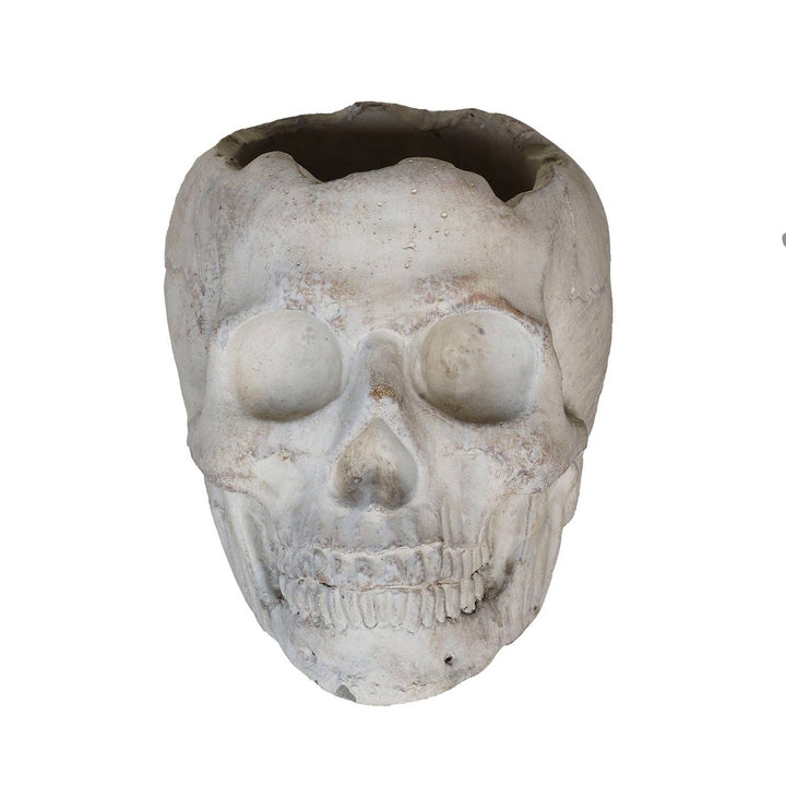 Concrete Momento Mori Skull Planter